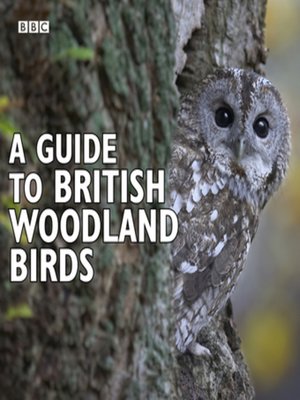 cover image of A Guide to British Woodland Birds
